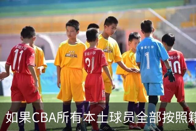 如果CBA所有本土球员全部按照籍贯出战，哪支球队会是TOP1
