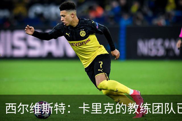西尔维斯特：卡里克的教练团队已经齐整 我更倾向于担任足球总监